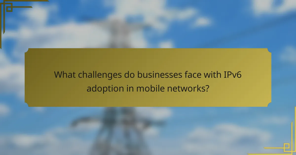 What challenges do businesses face with IPv6 adoption in mobile networks?